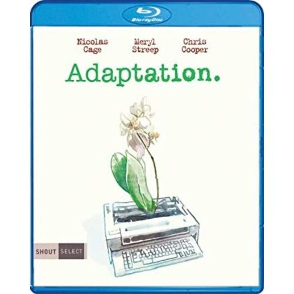 Adaptation